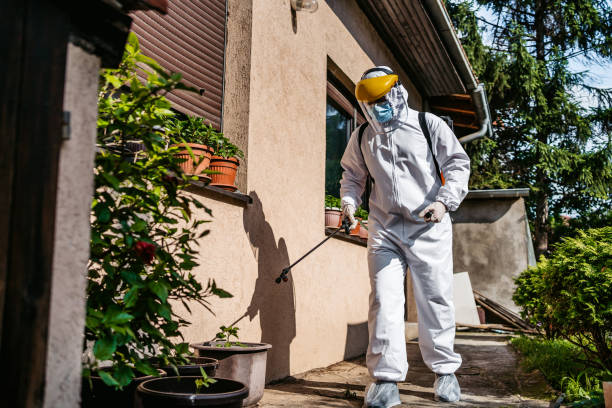Best Exterminator Services  in Grafton, WI