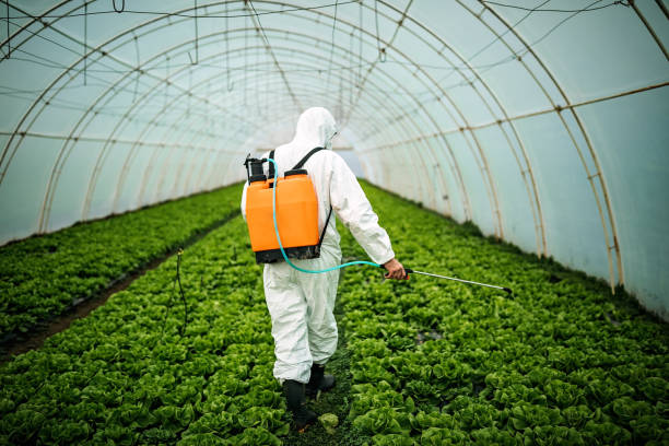 Best Pest Control Near Me  in Grafton, WI